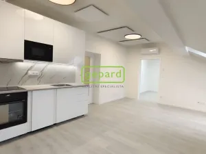 Pronájem bytu 2+kk, Brno - Zábrdovice, Slepá, 54 m2