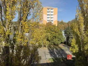 Pronájem bytu 2+1, Chomutov, Blatenská, 56 m2
