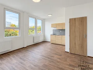 Pronájem bytu 1+kk, Moravský Krumlov, Tiskárenská, 30 m2