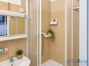 Pronájem bytu 1+1, Praha - Smíchov, Lidická, 35 m2