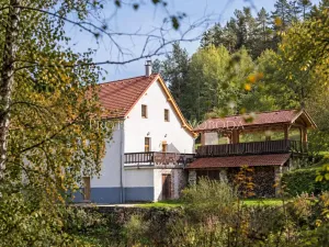 Prodej ubytování, Benešov nad Černou, 217 m2