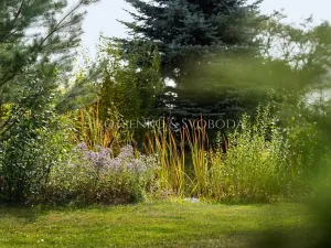 Prodej rodinného domu, Trhové Sviny, Rejta, 800 m2
