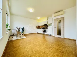 Prodej bytu 2+kk, České Budějovice - České Budějovice 2, Lipová, 53 m2