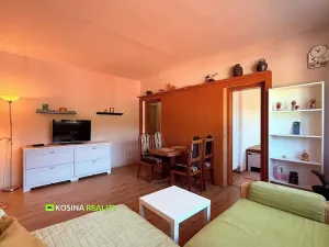 Pronájem bytu 1+1, Kraslice, Čs. armády, 37 m2