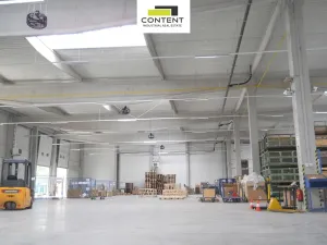 Pronájem výrobních prostor, Chlumec, U šmelce, 7500 m2