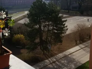 Pronájem bytu 2+kk, Olomouc, Šmeralova, 49 m2