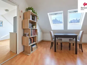 Prodej rodinného domu, Plzeň - Severní Předměstí, Luční, 307 m2