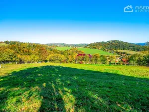 Prodej pozemku pro bydlení, Mikulůvka, 3000 m2