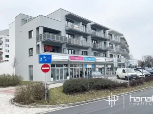Pronájem bytu 1+kk, Olomouc, Čajkovského, 34 m2