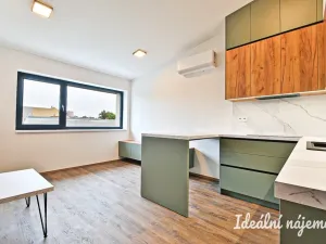 Pronájem bytu 1+kk, Brno - Židenice, Škrochova, 33 m2