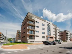 Pronájem bytu 2+kk, Hradec Králové, Antonína Petrofa, 53 m2