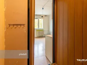 Prodej bytu 1+kk, Plzeň - Doudlevce, Luďka Pika, 20 m2