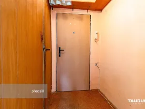 Prodej bytu 1+kk, Plzeň - Doudlevce, Luďka Pika, 20 m2