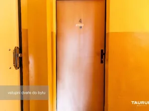 Prodej bytu 1+kk, Plzeň - Doudlevce, Luďka Pika, 20 m2