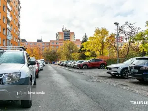 Prodej bytu 1+kk, Plzeň - Doudlevce, Luďka Pika, 20 m2