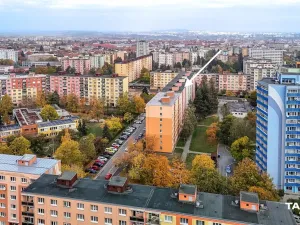 Prodej bytu 1+kk, Plzeň - Doudlevce, Luďka Pika, 20 m2