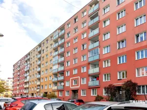 Prodej bytu 1+kk, Plzeň - Doudlevce, Luďka Pika, 20 m2