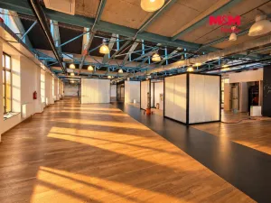 Pronájem kanceláře, Praha - Libeň, Drahobejlova, 706 m2