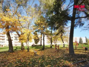Prodej bytu 2+1, Světlá nad Sázavou, Sázavská, 60 m2