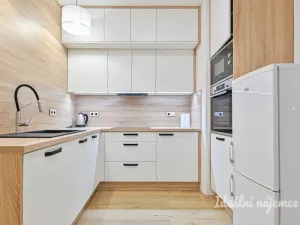 Pronájem bytu 6+kk a větší, Blansko, Zdíkova, 120 m2