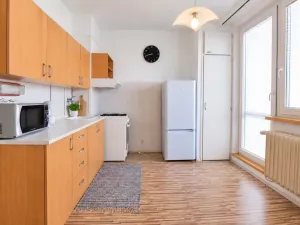 Prodej bytu 1+1, Brno, Horácké náměstí, 44 m2