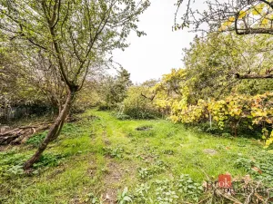 Prodej zahrady, Želešice, 50 m2