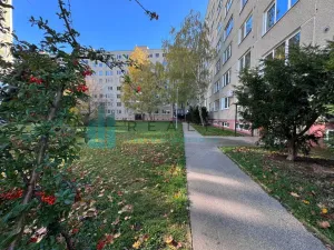 Pronájem bytu 3+kk, Hodonín, Jižní, 80 m2