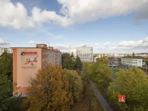 Prodej bytu 3+1, Plzeň - Doudlevce, Heyrovského, 67 m2
