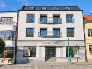 Prodej bytu 2+kk, Bystřice nad Pernštejnem, Masarykovo náměstí, 50 m2
