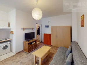 Pronájem bytu 1+kk, Příbram, S. K. Neumanna, 21 m2