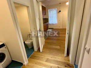 Pronájem bytu 2+kk, Praha - Žižkov, Vlkova, 40 m2