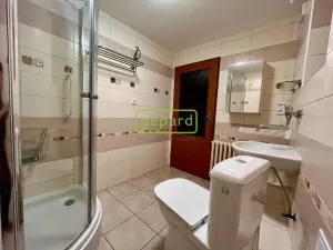 Pronájem bytu 2+1, Koleč - Mozolín, 95 m2