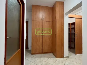 Pronájem bytu 2+1, Koleč - Mozolín, 95 m2