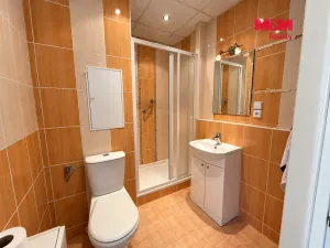 Pronájem bytu 1+1, Chomutov, Hornická, 35 m2