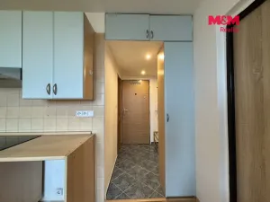 Prodej bytu 1+1, Louny, Kosmonautů, 36 m2