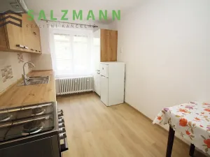Pronájem bytu 2+1, Plzeň, Zámečnická, 60 m2