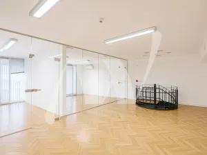 Pronájem kanceláře, Praha - Nové Město, Václavské náměstí, 466 m2