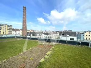 Pronájem kanceláře, Praha - Holešovice, Dělnická, 441 m2