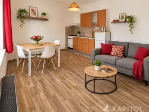 Prodej bytu 1+kk, Planá, Hřbitovní, 30 m2