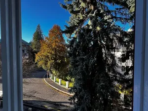 Prodej bytu 2+1, Karlovy Vary, Poděbradská, 56 m2