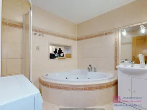 Prodej rodinného domu, Mikulčice - Těšice, 280 m2