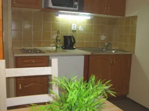 Prodej bytu 4+kk, Mariánské Lázně, Třebízského, 82 m2