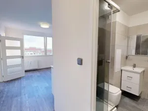 Pronájem bytu 1+1, Most, Marš. Rybalka, 35 m2