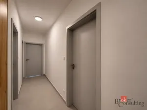 Pronájem bytu 2+kk, Plzeň - Jižní Předměstí, Železná, 58 m2
