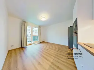 Pronájem bytu 1+kk, Kralupy nad Vltavou, Nádražní, 24 m2