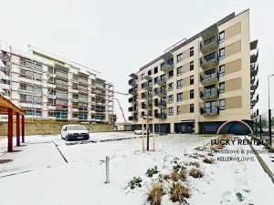Pronájem bytu 1+kk, Kralupy nad Vltavou, Nádražní, 24 m2
