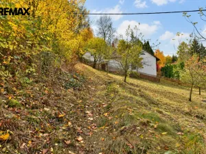 Prodej rodinného domu, Vidlatá Seč, 65 m2