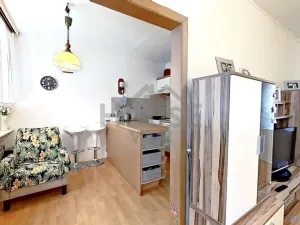 Prodej bytu 3+1, Praha - Krč, Hurbanova, 64 m2