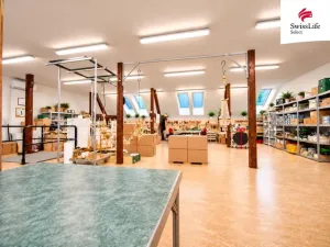 Prodej výrobních prostor, Řepov, 1310 m2