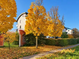 Pronájem bytu 2+kk, Hradec Králové - Nový Hradec Králové, Pod Zámečkem, 53 m2